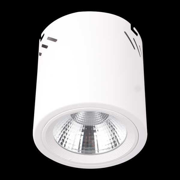 Đèn ống bơ chiếu rọi LN-32